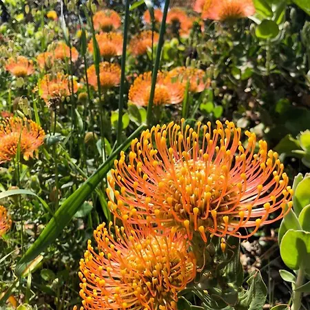 Chalet Madeira Sunset - Nature Retreat Ponta do Pargo