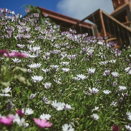 Dağ evi Madeira Sunset - Nature Retreat