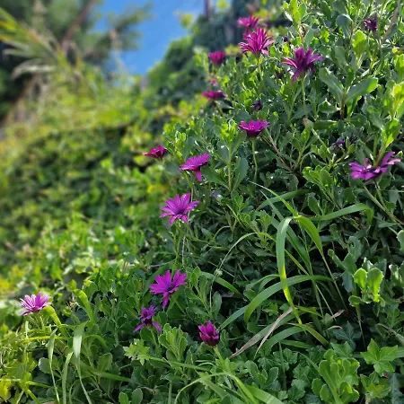 Madeira Sunset - Nature Retreat *
