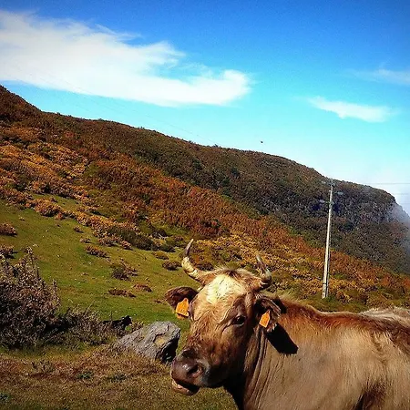 Madeira Sunset - Nature Retreat Chalet *