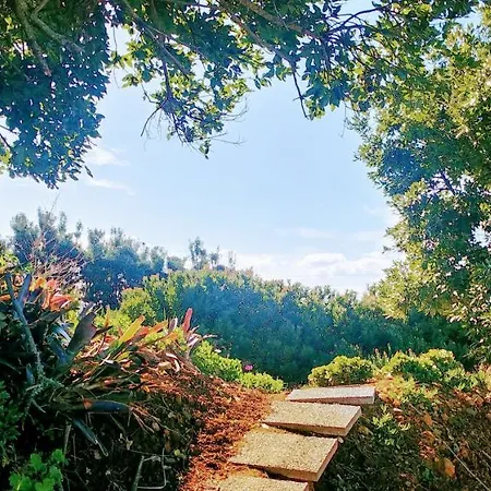 Madeira Sunset - Nature Retreat Chalet