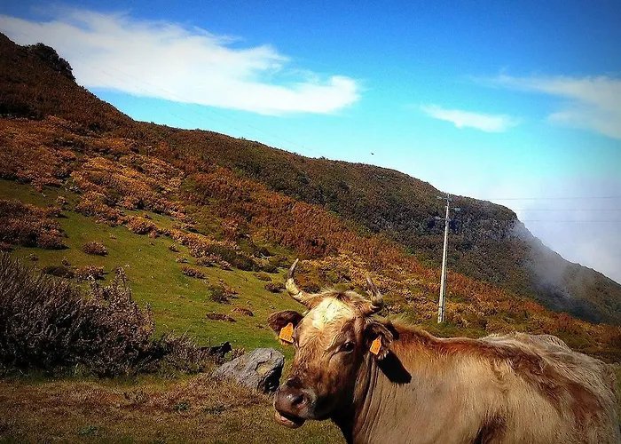 Madeira Sunset - Nature Retreat Chalet *
