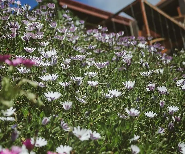 Chalet Madeira Sunset - Nature Retreat