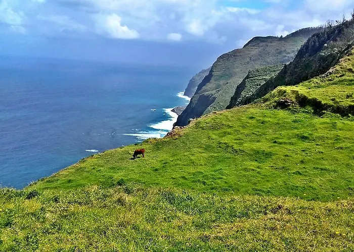 Madeira Sunset - Nature Retreat 木屋