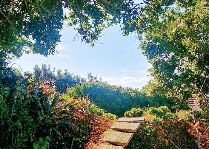 Madeira Sunset - Nature Retreat 木屋